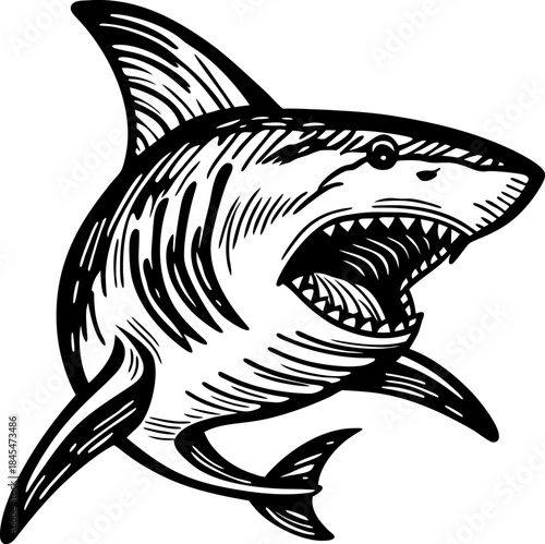ferocious shark illustration with open mouth and sharp teeth in bold black and white