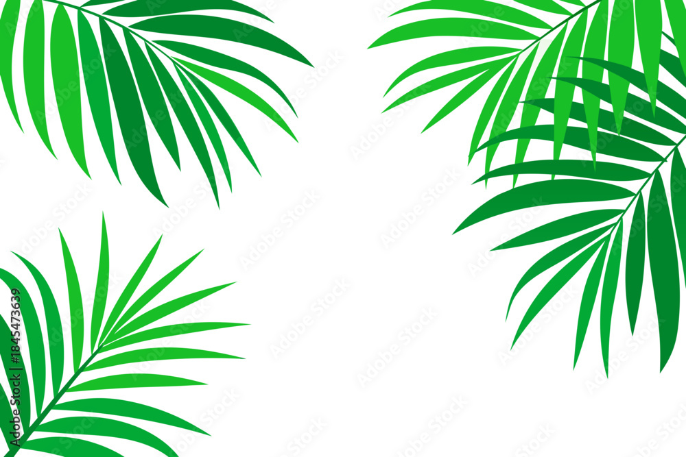 Fototapeta premium Tropical green palm leaves on white background illustration