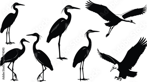 Black Silhouettes of Heron, Crane, and Eagle in Flight and Standing, Flat Vector Illustration, Wildlife Design Element, Minimalist Sketch