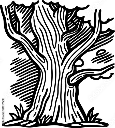 Old hollow tree trunk illustration with bare branches and textured bark line art nature design