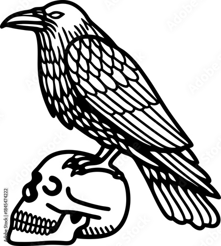 Raven perched on human skull, gothic crow illustration symbolizing death and mystery