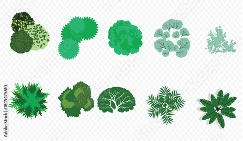 set of trees in lines in minimalist CAD