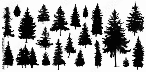 Silhouettes of pine tree.eps
