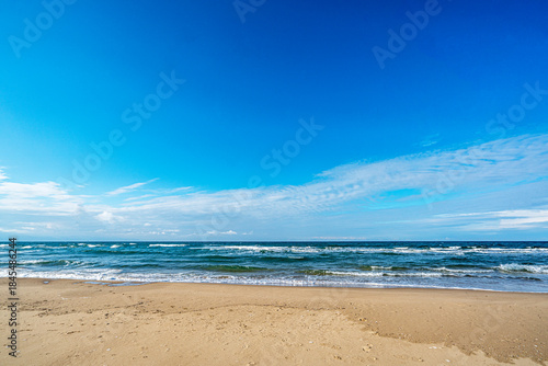 Fototapeta Naklejka Na Ścianę i Meble -  The scenic views of Sarıkum National Park, situated in a combination of sea, sand, lake and forest with species of water birds and birds of prey, and roe deer, lynx, bustard and swan in Sinop, Turkey.