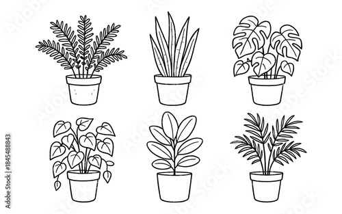 Collection of six potted houseplant illustrations in a simple line art style
