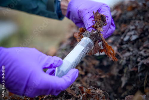 Hands holding a test tube while collecting leaf samples for scientific research. The procedure takes place in a laboratory setting focused on plant material analysis.
