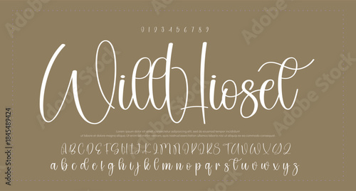 
Script signature alphabet, elegant flowing letters, stylish cursive font for graceful branding, romantic headline, handwritten typography, timeless typographic design. Vector typeset