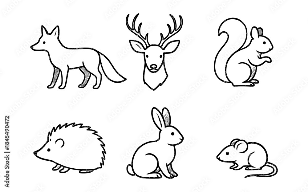 Fototapeta premium Collection of cute hand-drawn forest animals in a simple line art style