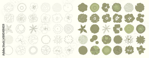 Top view trees for architectural plans and landscape design. Minimal vector illustration for urban planning, site plans, and architectural entourage.
