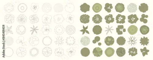 Fototapeta Top view trees for architectural plans and landscape design. Minimal vector illustration for urban planning, site plans, and architectural entourage.