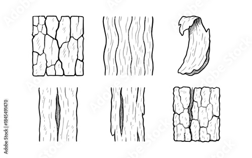 Collection of hand-drawn bark textures and patterns in black and white