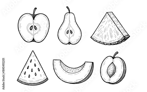 Hand-drawn collection of various sliced fruits in a sketch art style