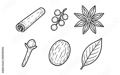 Collection of hand-drawn spices including cinnamon, star anise, cloves, nutmeg, and bay leaf