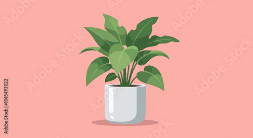 Potted green houseplant on a pink background