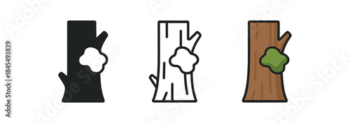 forest therapy tree trunk with moss patch