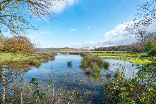 Fototapeta Naklejka Na Ścianę i Meble -  The scenic views of Sarıkum National Park, situated in a combination of sea, sand, lake and forest with species of water birds and birds of prey, and roe deer, lynx, bustard and swan in Sinop, Turkey.