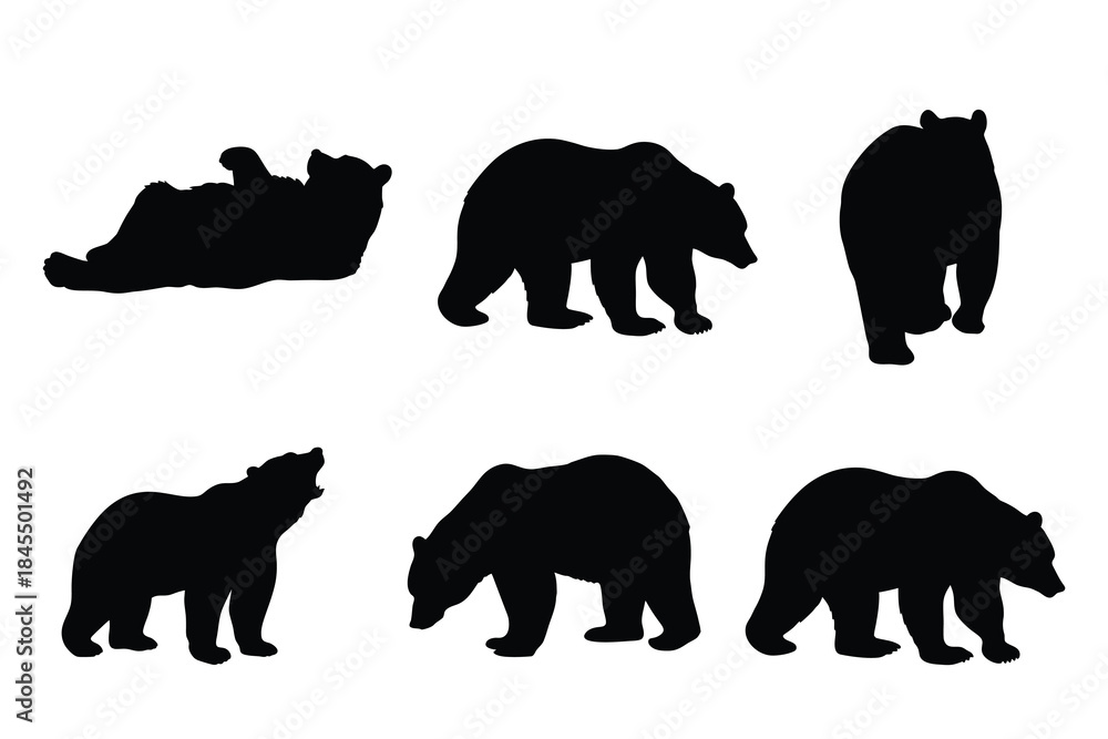 Fototapeta premium Set of Wild Bear Silhouettes in Diverse Poses