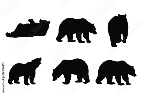 Set of Wild Bear Silhouettes in Diverse Poses