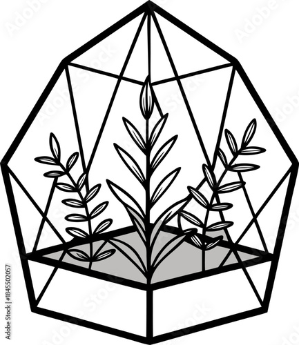 Geometric line art vector of a closed glass terrarium containing small, simple plant shapes, white background.