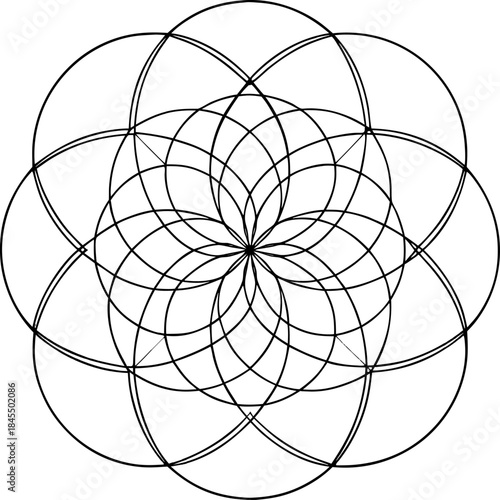 Geometric line art vector of several thin circles overlapping perfectly, creating a complex but harmonious grid, white background.