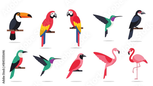 Colorful birds collection in vector style for design and illustration