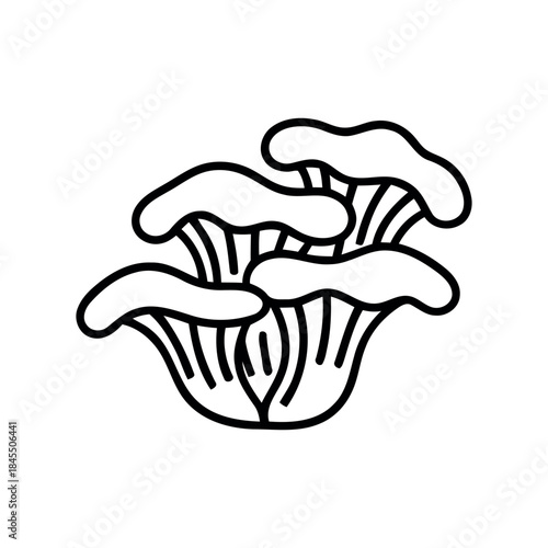Black outline doodle of an oyster mushroom cluster, simple line art vector illustration, ideal for a minimalist nature icon or coloring page.
