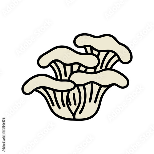 Cluster of colored oyster mushrooms (Pleurotus ostreatus) with beige wavy caps, gourmet culinary fungi in simple doodle style vector.