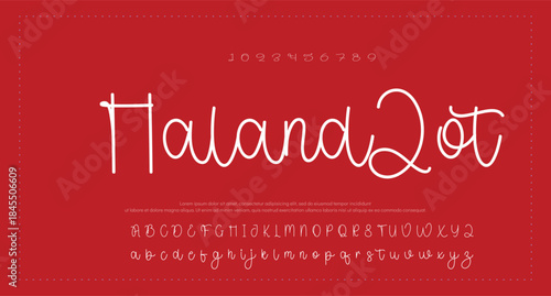 Signature script lettering font 