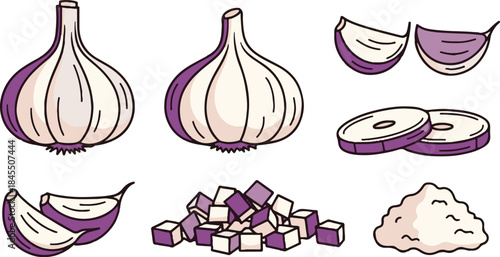 Collection of stylized garlic illustrations showing whole bulbs cloves slices diced pieces and minced powder for cooking concepts