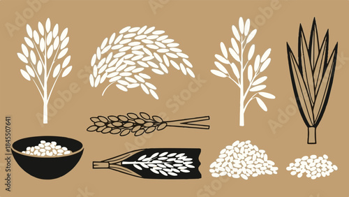 Collection of stylized white and black rice plant illustrations showing grains stalks and harvested forms on a brown background