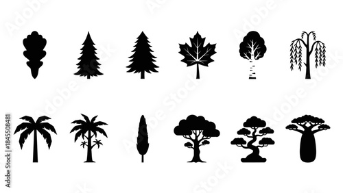 Set of tree silhouettes vector illustrations for design and decor
