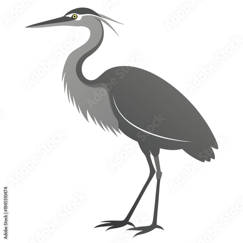 A tranquil grey heron illustration capturing its silent dignity a majestic water bird with sharp
