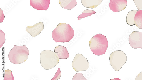 Seamless Scattered Pink and White Rose Petals Pattern on Isolated White Background