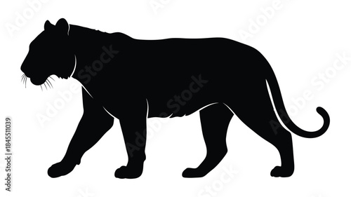 A striking black tiger in profile a powerful animal silhouette