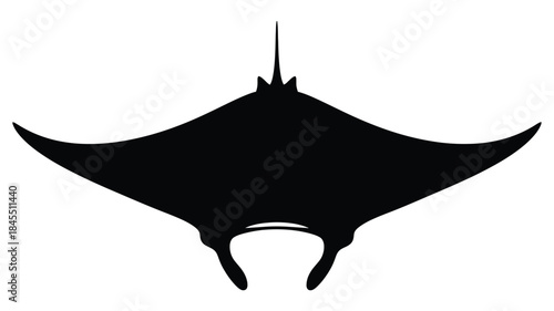 A striking black manta ray illustration a beautiful ocean creature silhouette