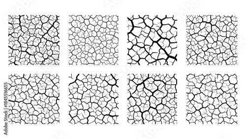 Abstract cracked earth texture patterns in various sizes on a white backdrop
