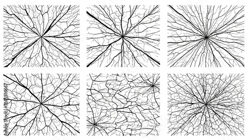 Abstract branching network pattern design in a series of digital illustrations