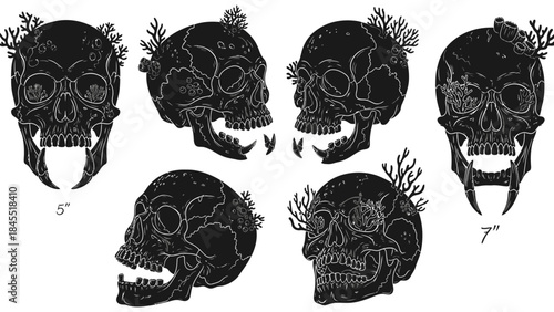 Black skulls vector set with botanical elements decorative illustration