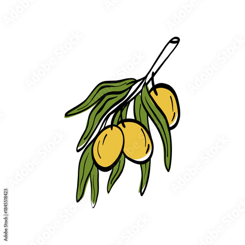 Minimal olive branch illustration with clean outlines and a natural Mediterranean food. Ideal for farm products, olive oil labels, and Italian or Greek cuisine visuals