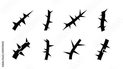 Black thorn stems isolated on white background for design and decoration