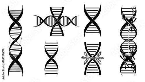 Dna strands illustration set black and white science and genetics concepts