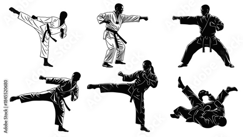 Karate silhouettes dynamic poses of martial artists in action and training