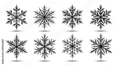 Set of eight detailed snowflakes in monochrome style for winter design
