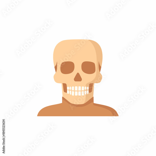 Isolated anatomical illustration depicting a stylized human skull with shoulders bone structure over a plain backdrop for skeletal study