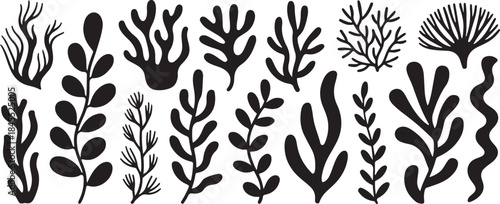 Black seaweed silhouettes collection