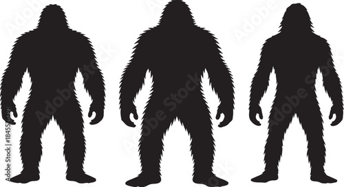 Three Sasquatch Silhouettes Standing