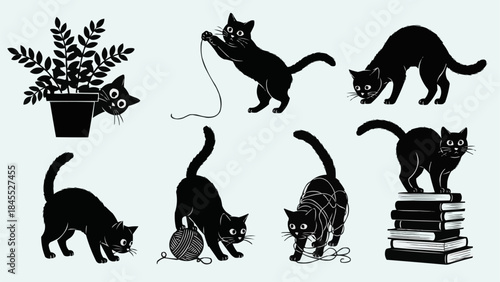 Collection of playful black cats in various poses and activities.