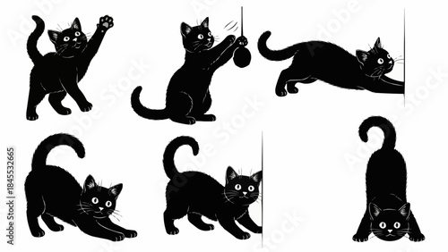 Collection of Playful Black Cat Poses and Actions.