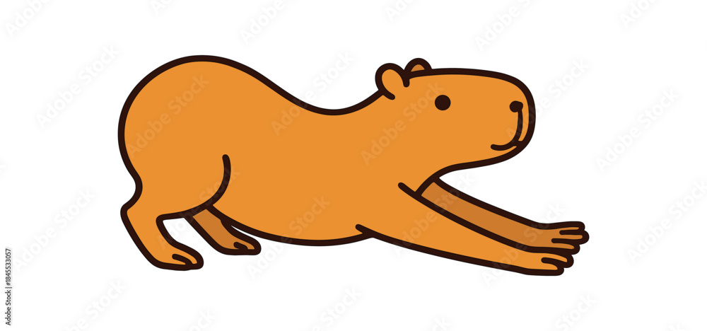 Obraz premium Flat vector illustration of bright capybara stretching long with front legs extended