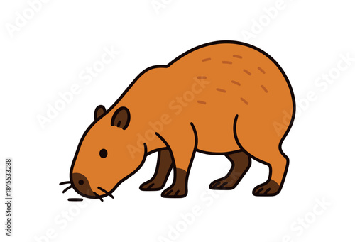 Flat vector illustration of bright capybara sniffing the ground curiously head lowered